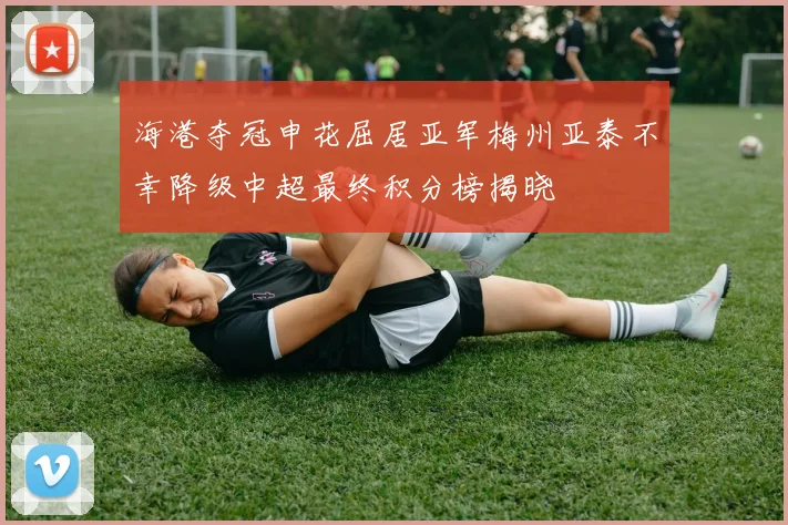 海港夺冠申花屈居亚军梅州亚泰不幸降级中超最终积分榜揭晓