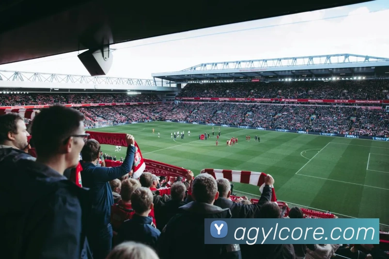 AG娱乐APP 封面图